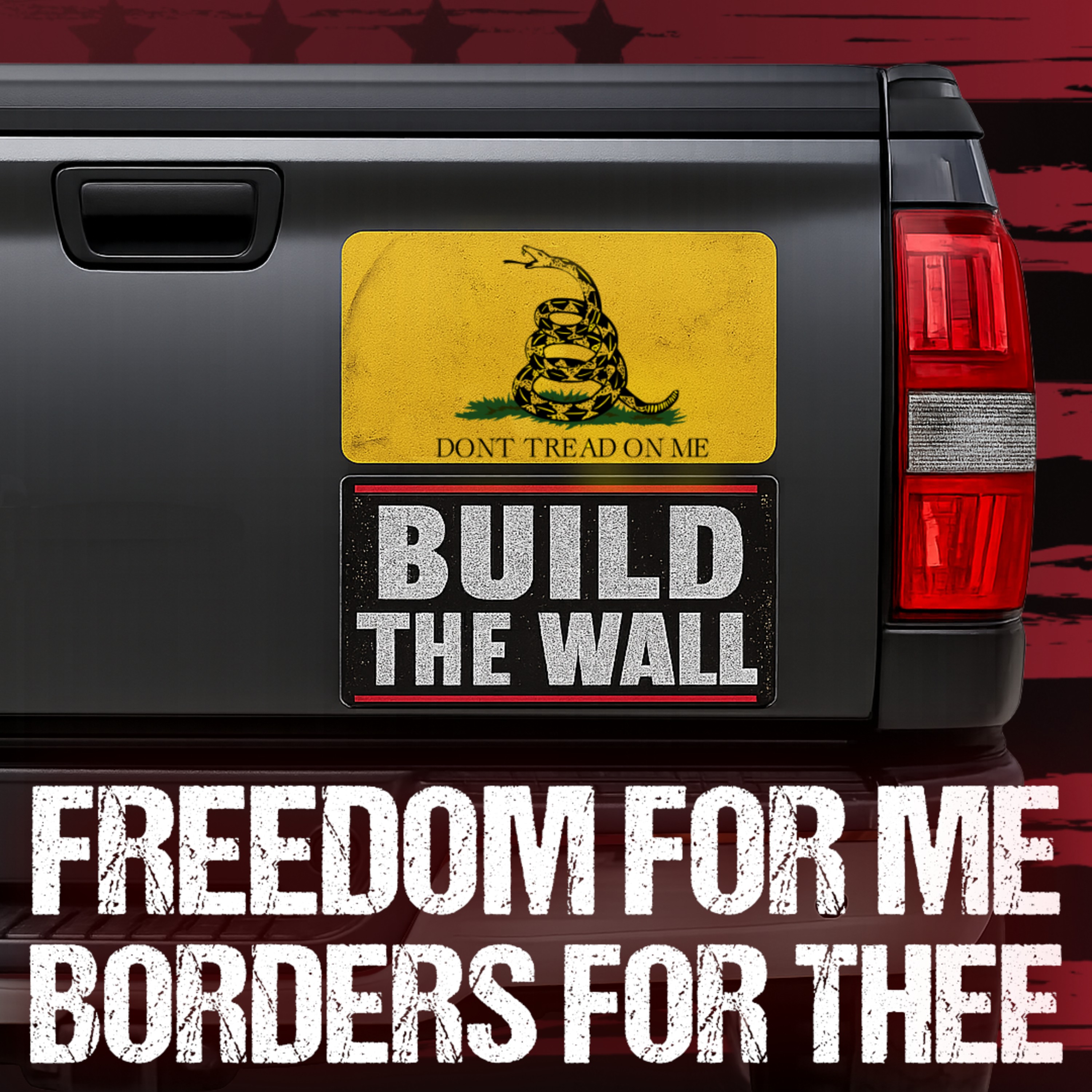 Libertarian in Name, Authoritarian at the Border - Free markets for us, border walls for them. episode artwork