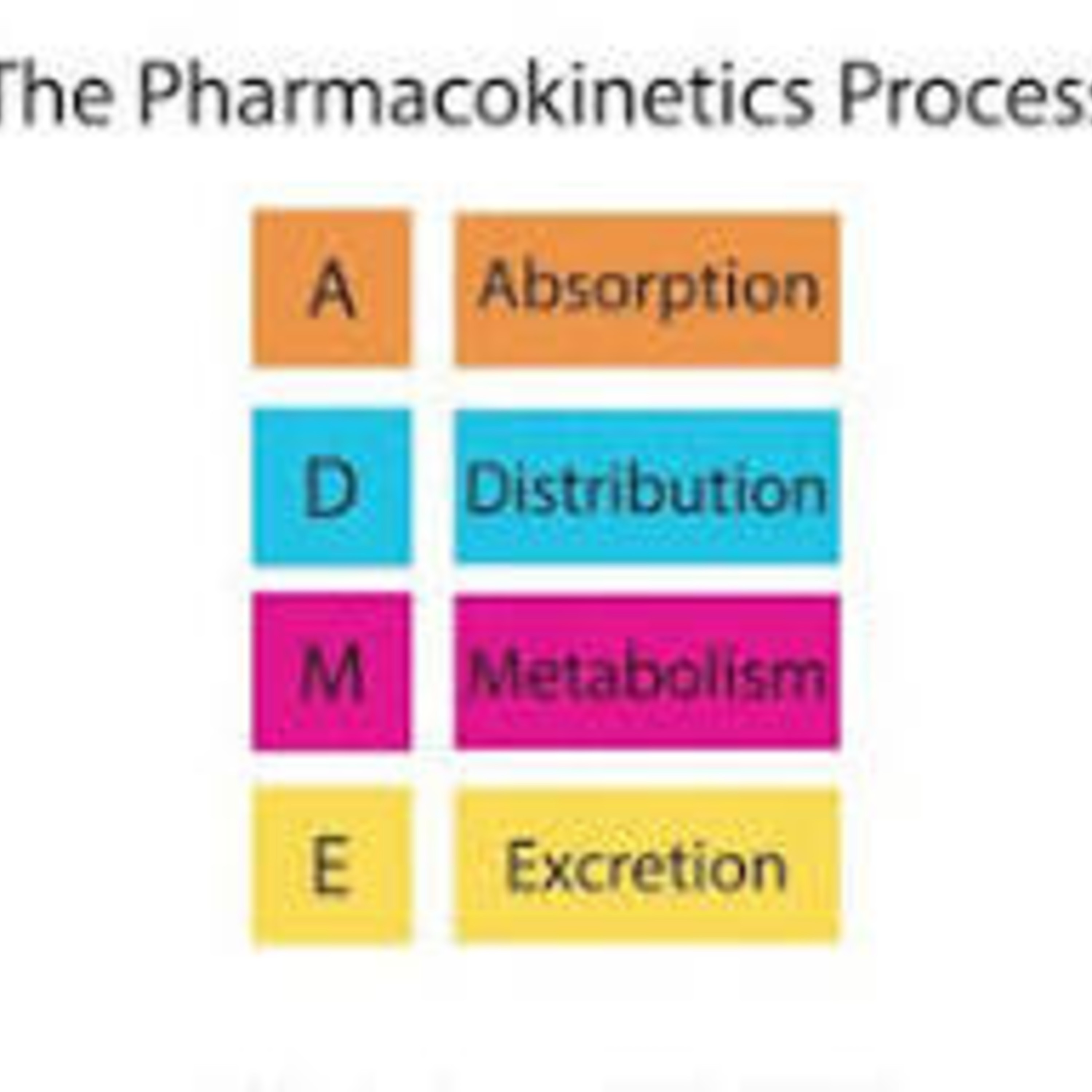 How Drugs Work in the Body episode artwork