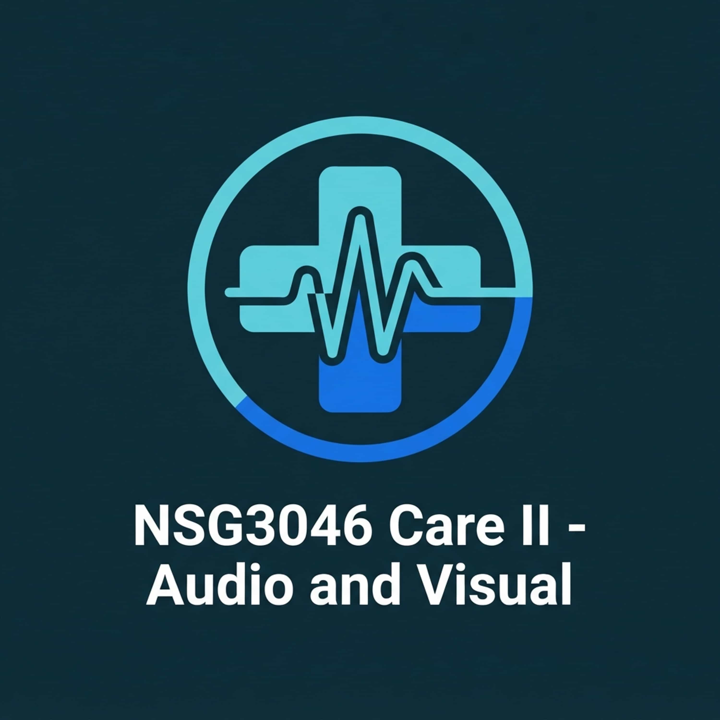NSG3046 Care II - Audio and Visual