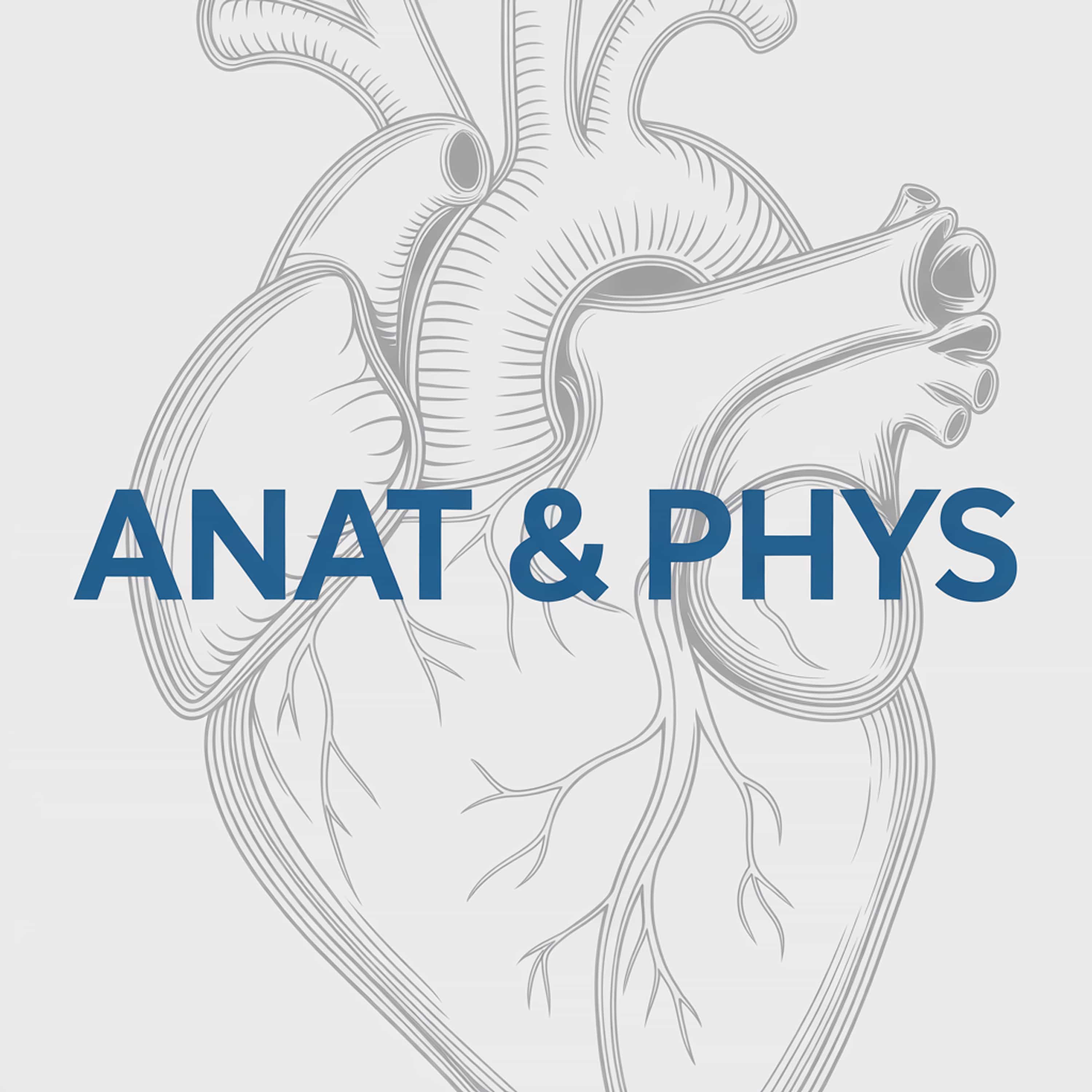 The Killpack Anat & Phys Review