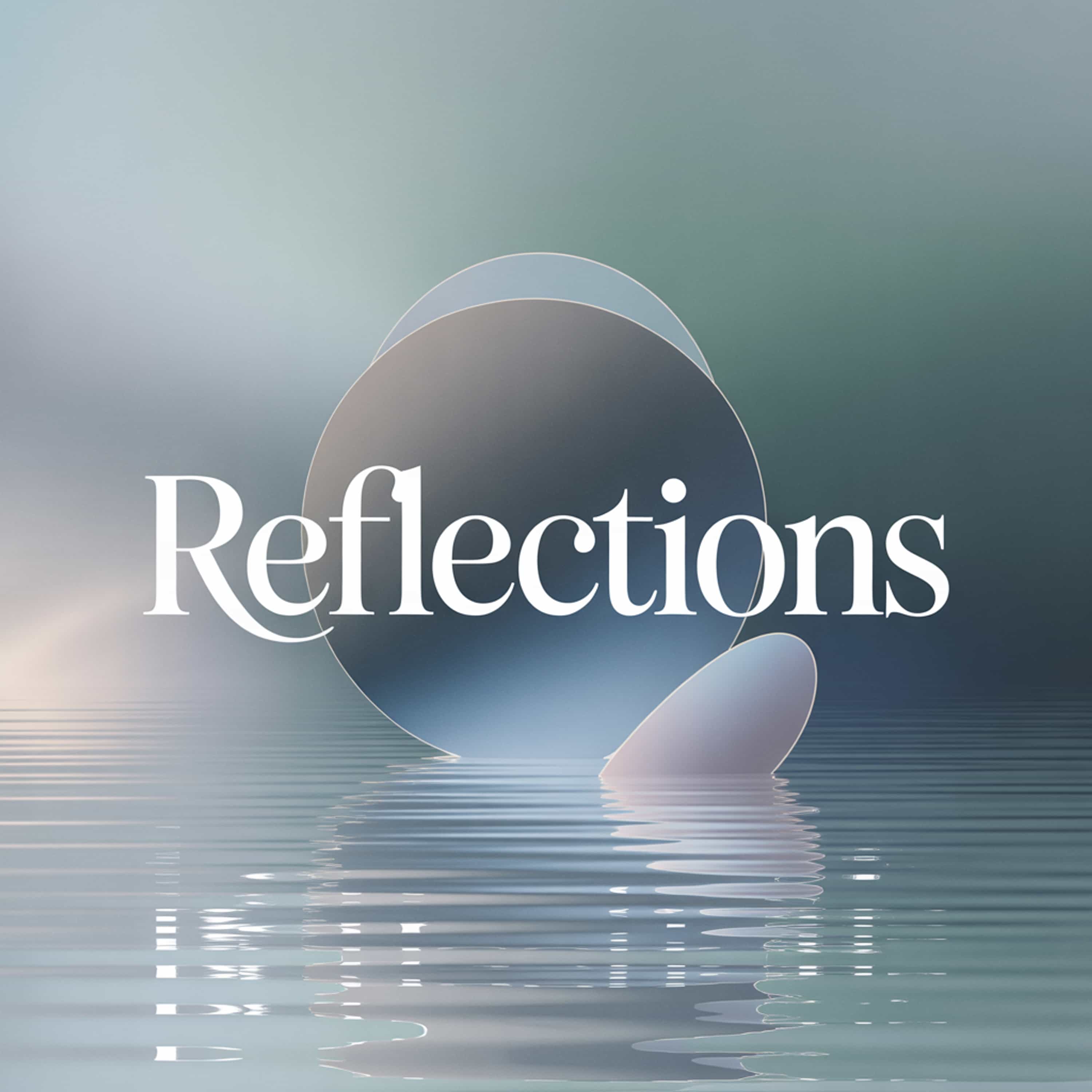 Reflections (Feed Disabled)