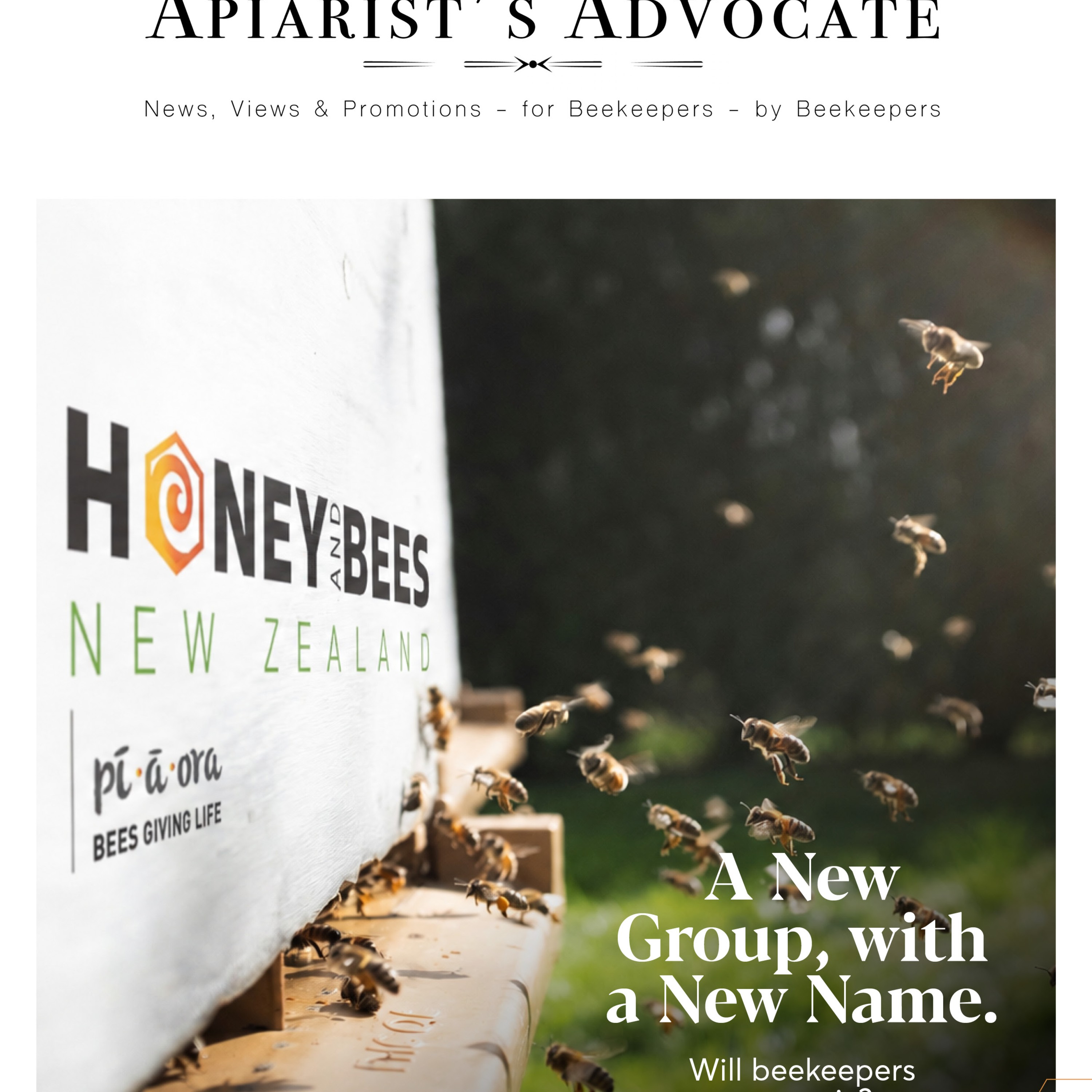 A New Group with a New Name – will beekeepers swarm in? episode artwork