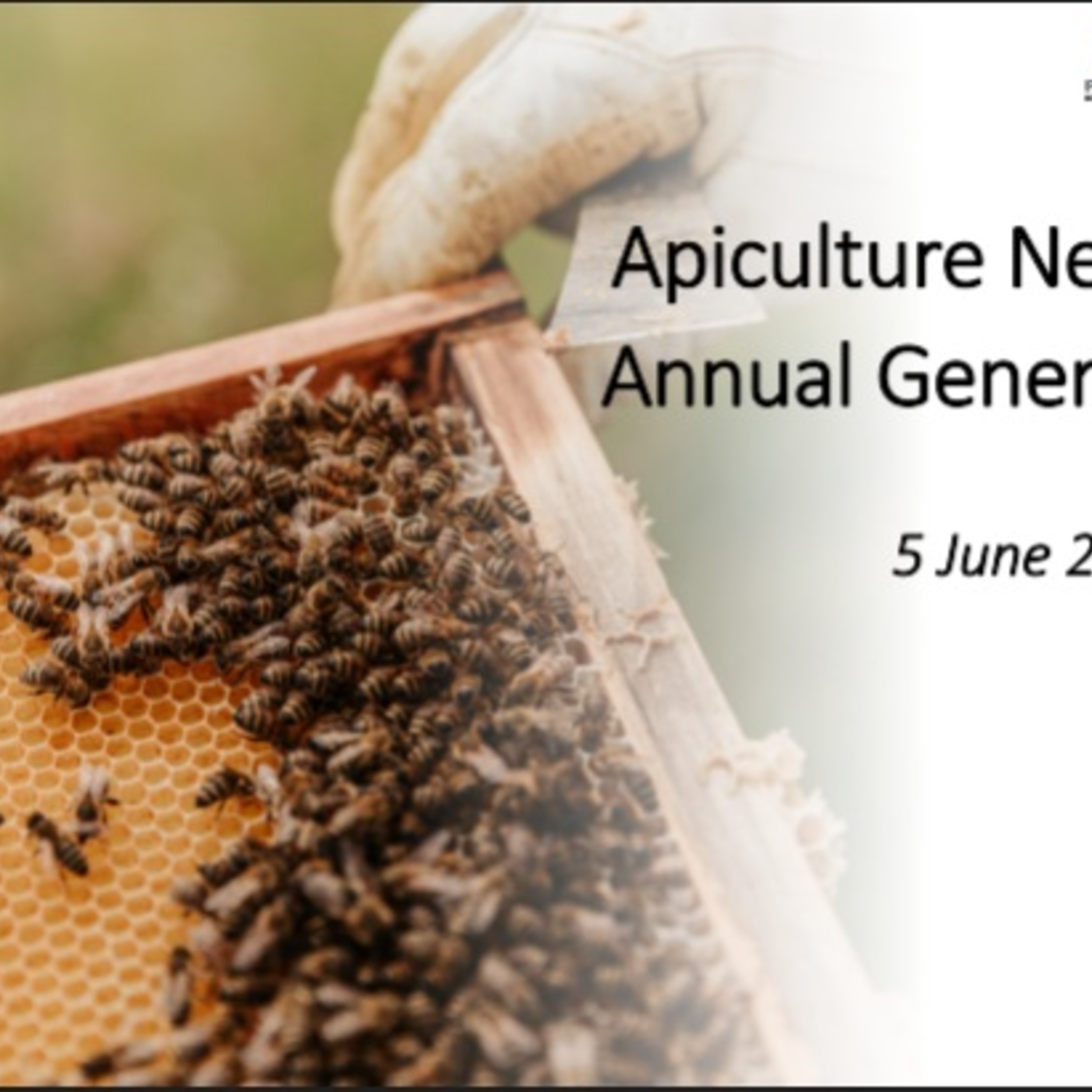 Apiculture New Zealand Members Say ‘Yes’ to New Group, and Appoint Transitionary Leaders. episode artwork