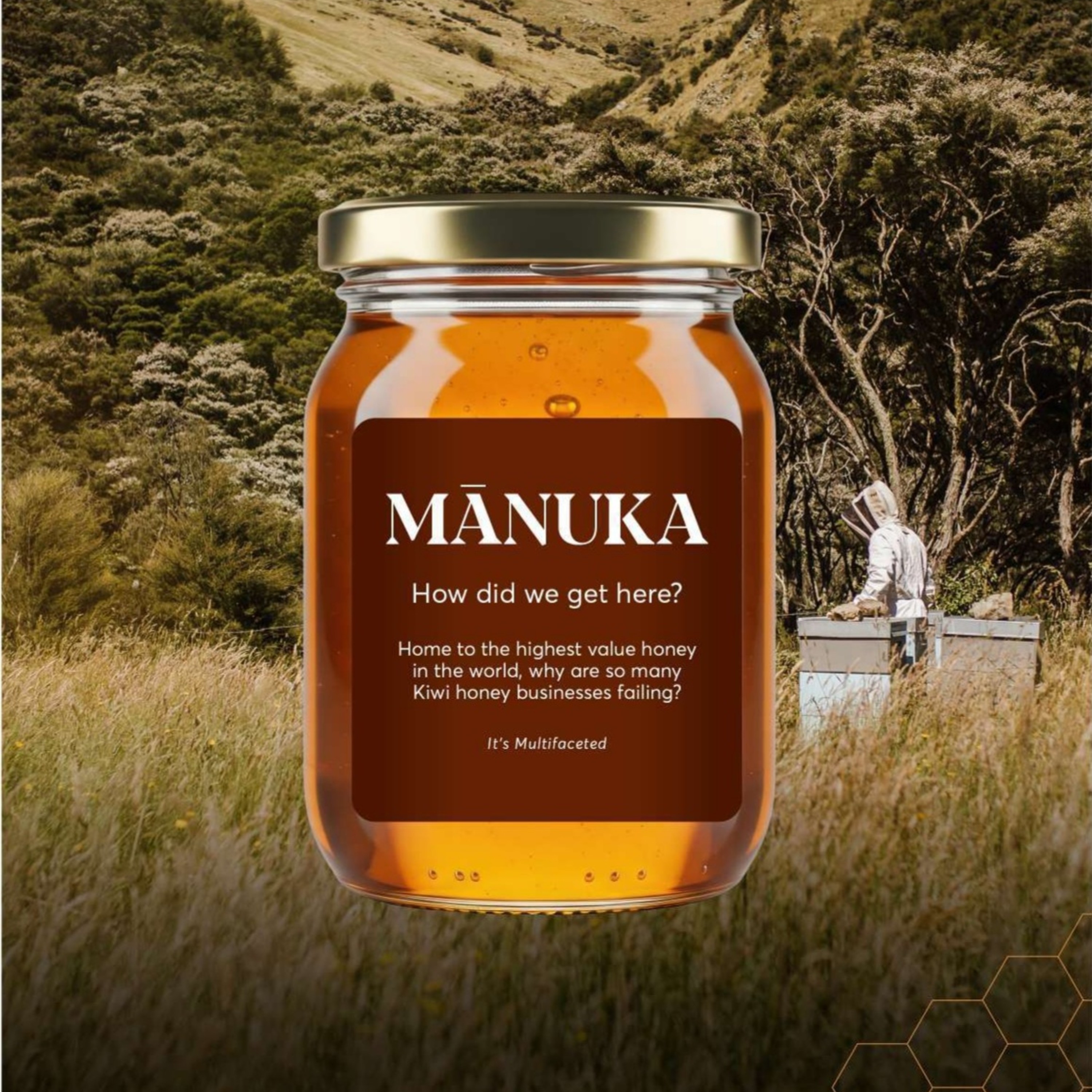 How Did We Get Here? Home to the highest value honey in the world, why are so many Kiwi honey businesses going bust? episode artwork