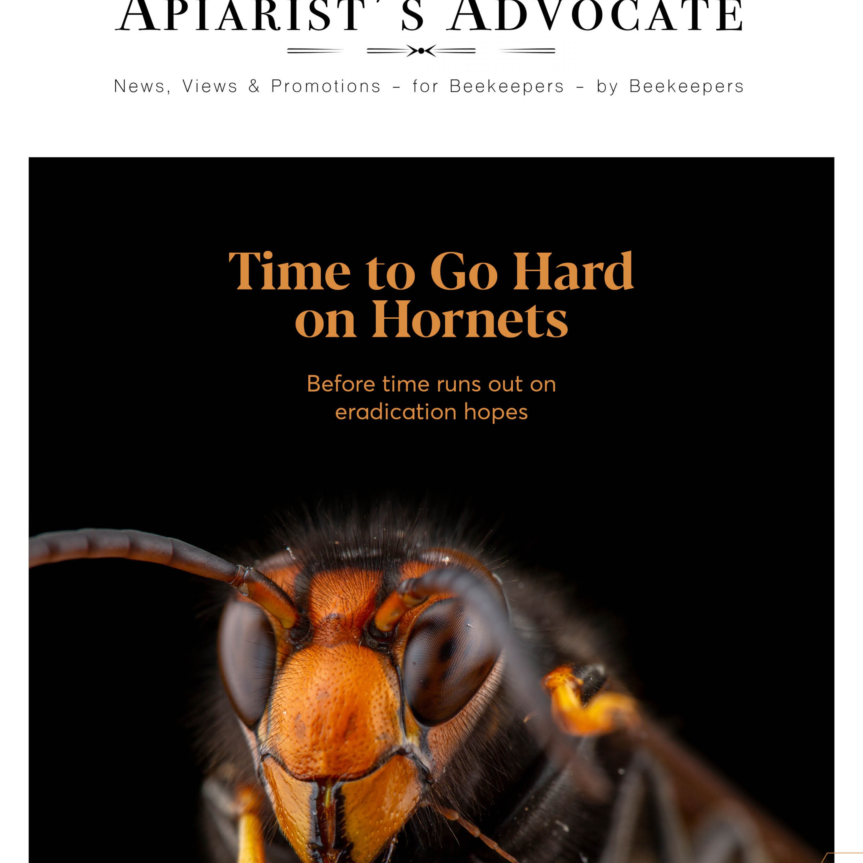 Yellow Legged Hornet Response – Time to “Go Hard” episode artwork