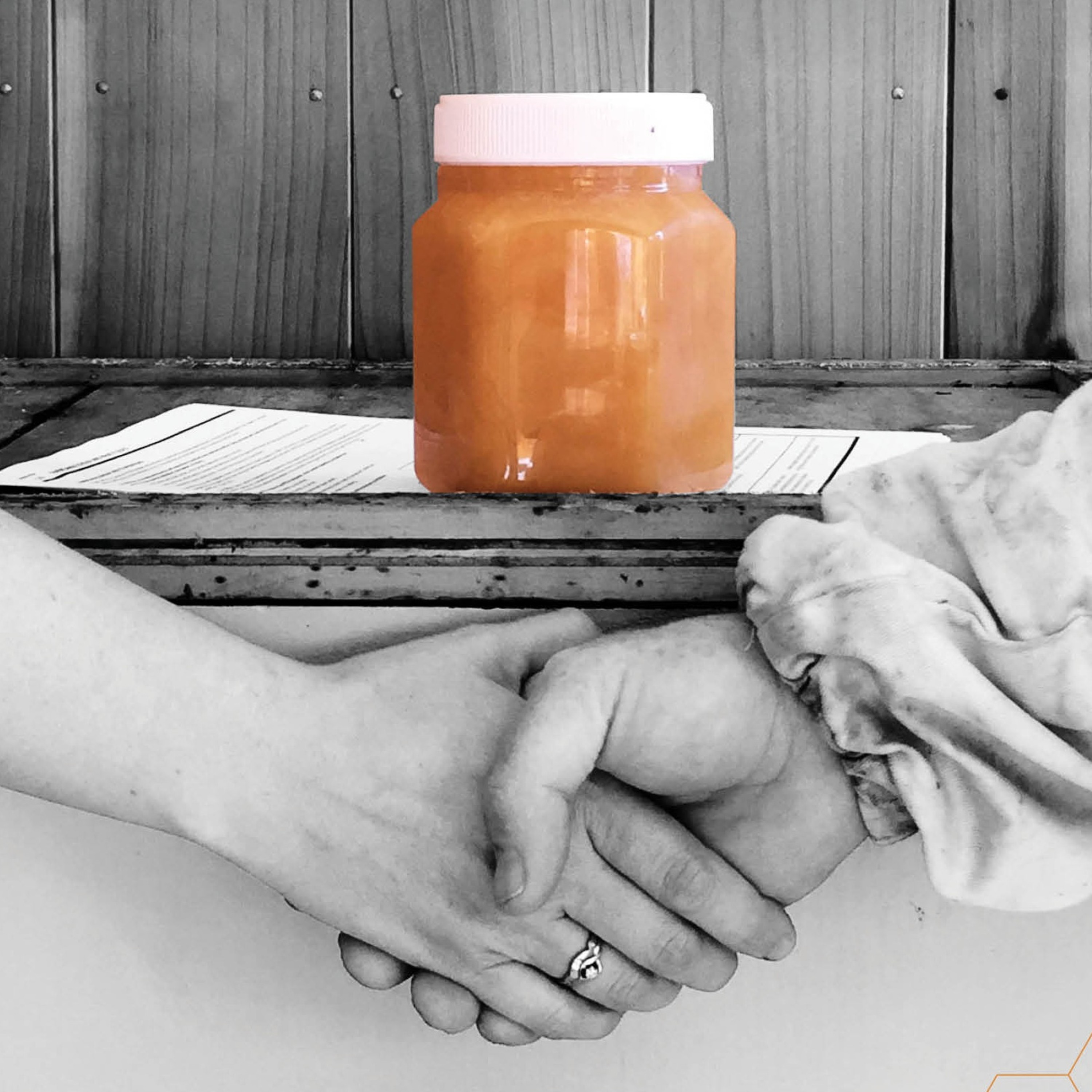 What Should Beekeepers Expect to be Paid for their Honey this Year? episode artwork