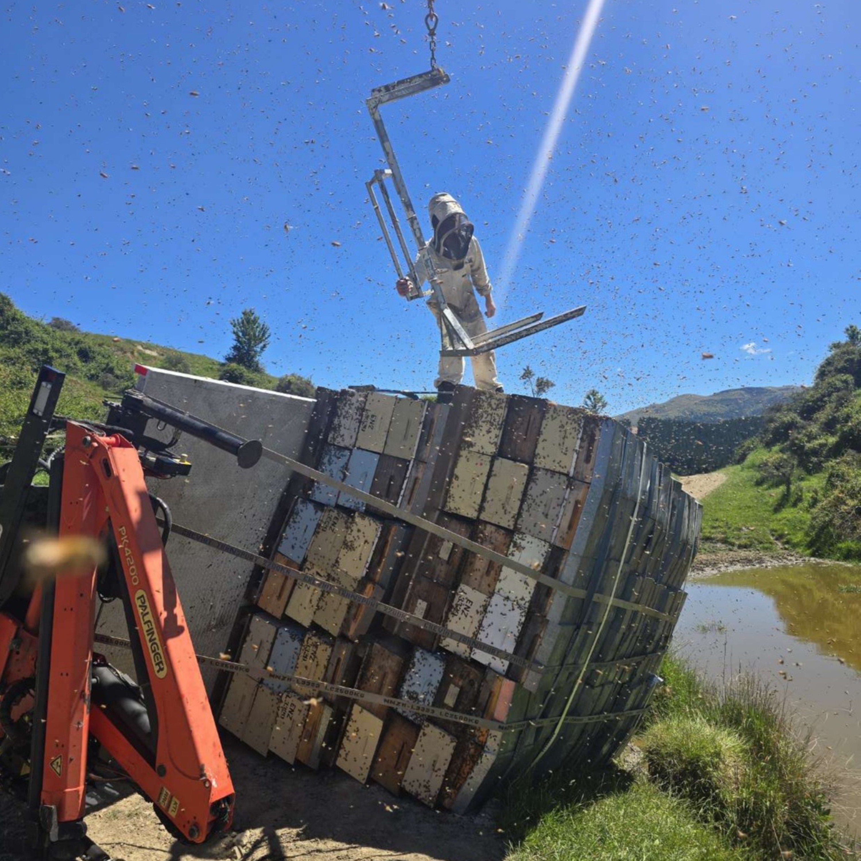 February 2026 – A honey season gone sideways, + much more... episode artwork