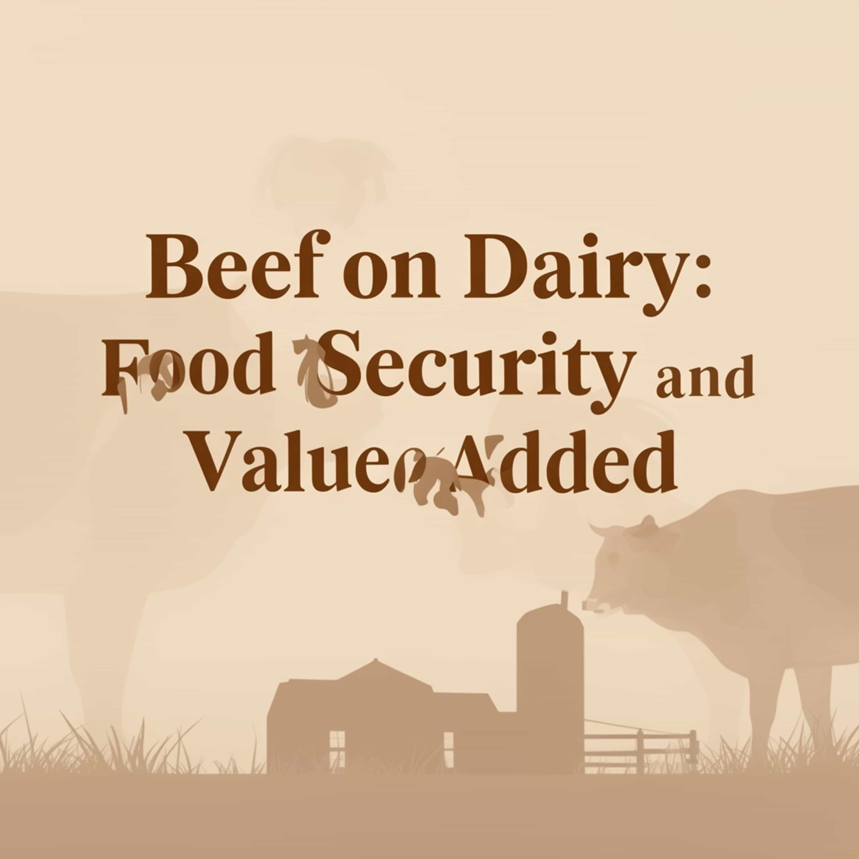 Beef on Dairy: Food Security and Value Added (Feed Disabled)