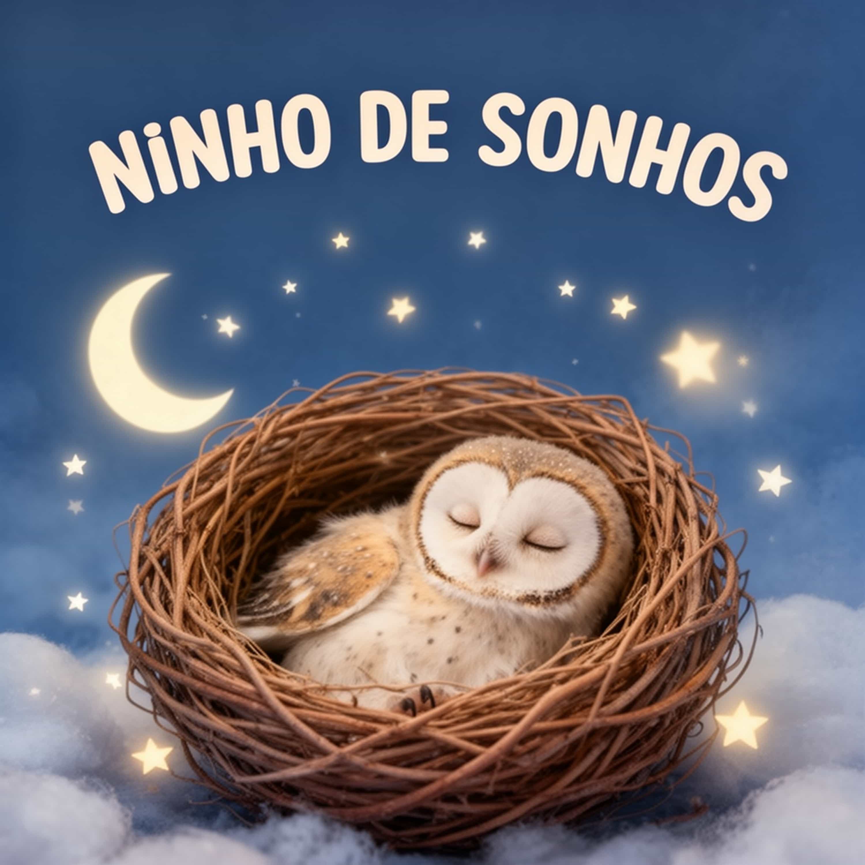 Ninho de sonhos podcast artwork