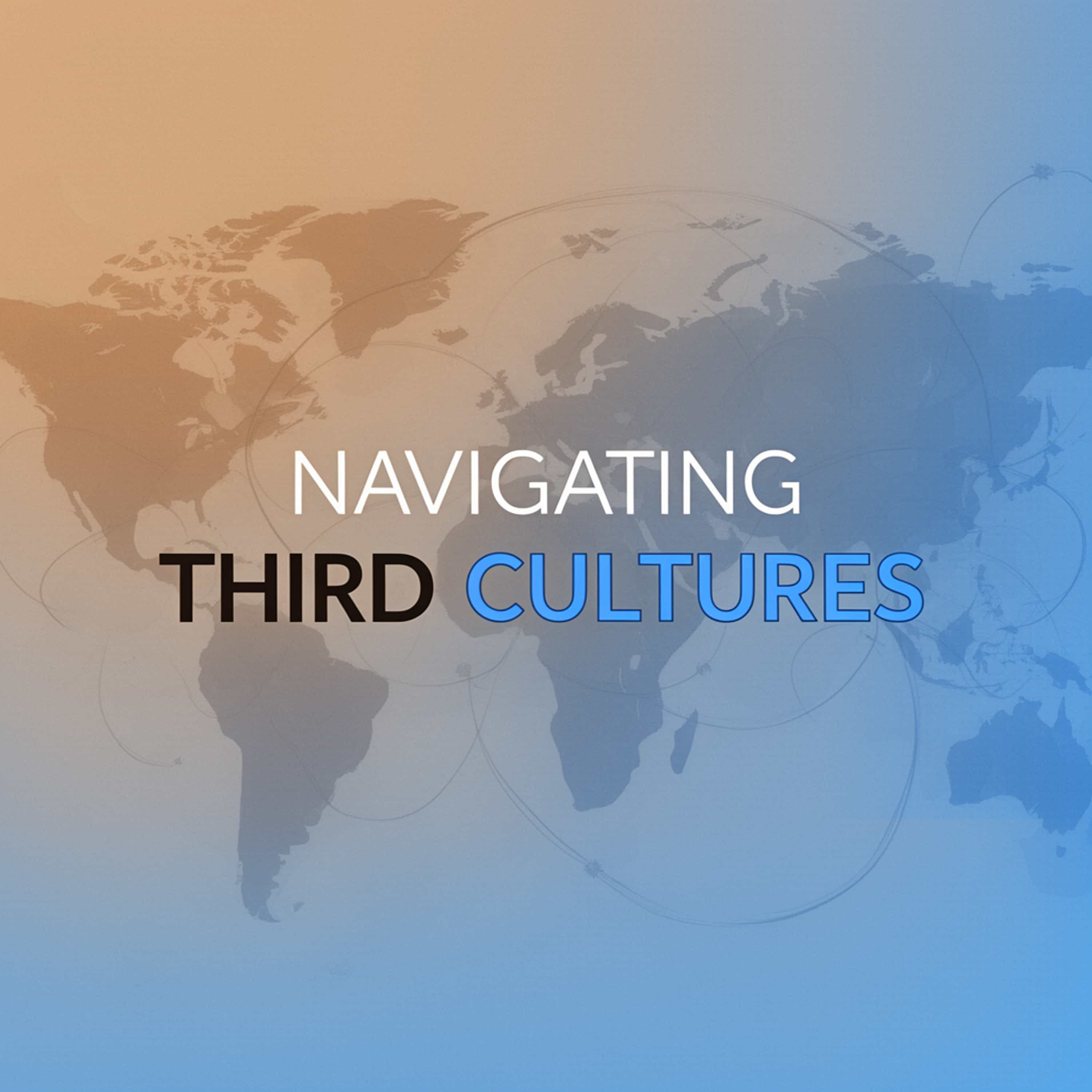 Navigating Third Cultures (Feed Disabled)