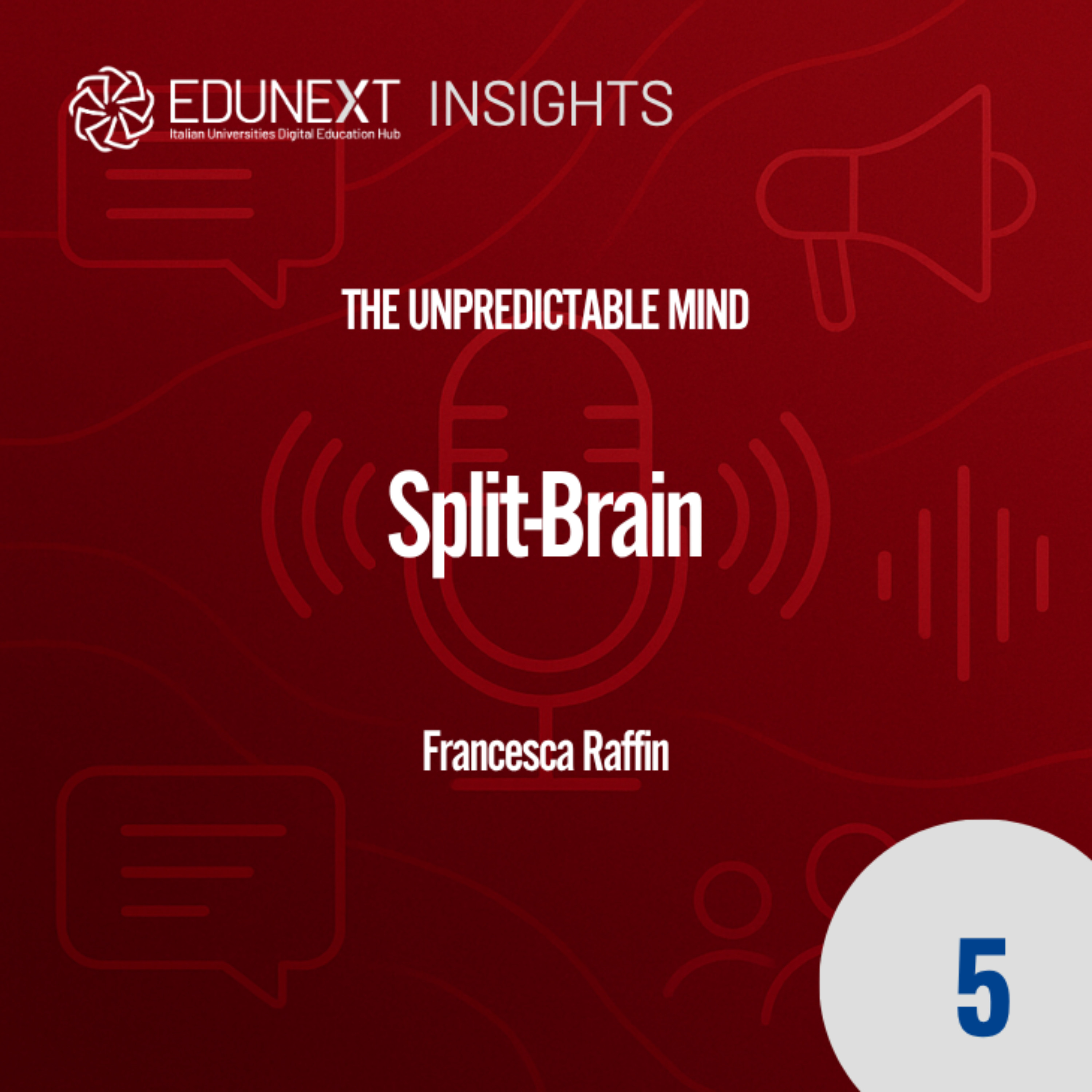 [05] Split-Brain episode artwork