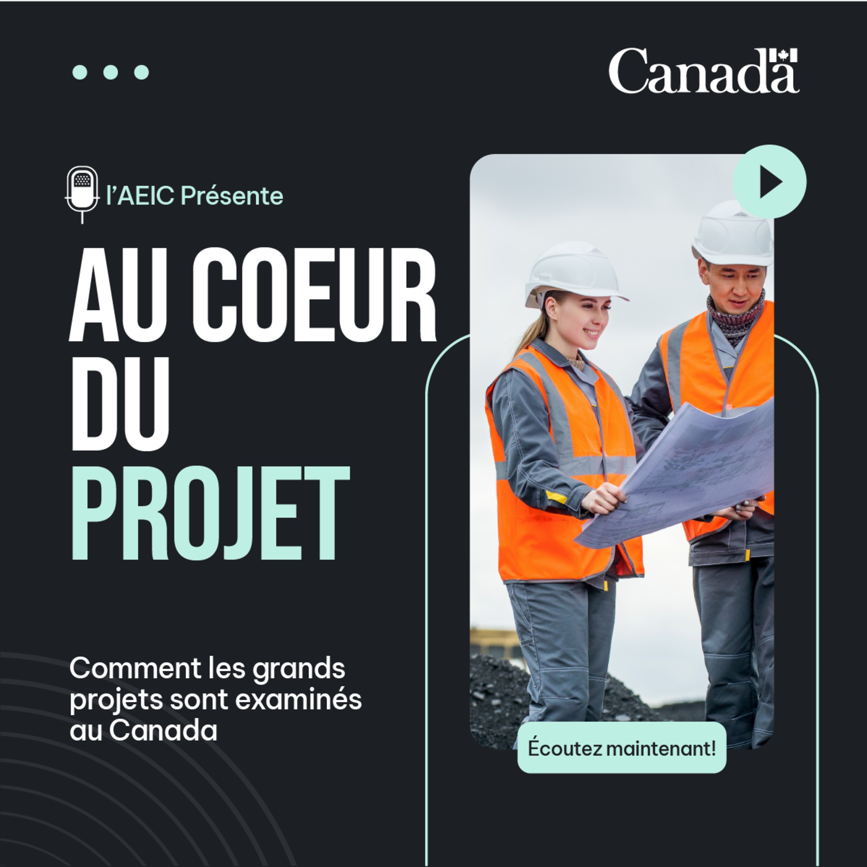 Au coeur du projet cover art
