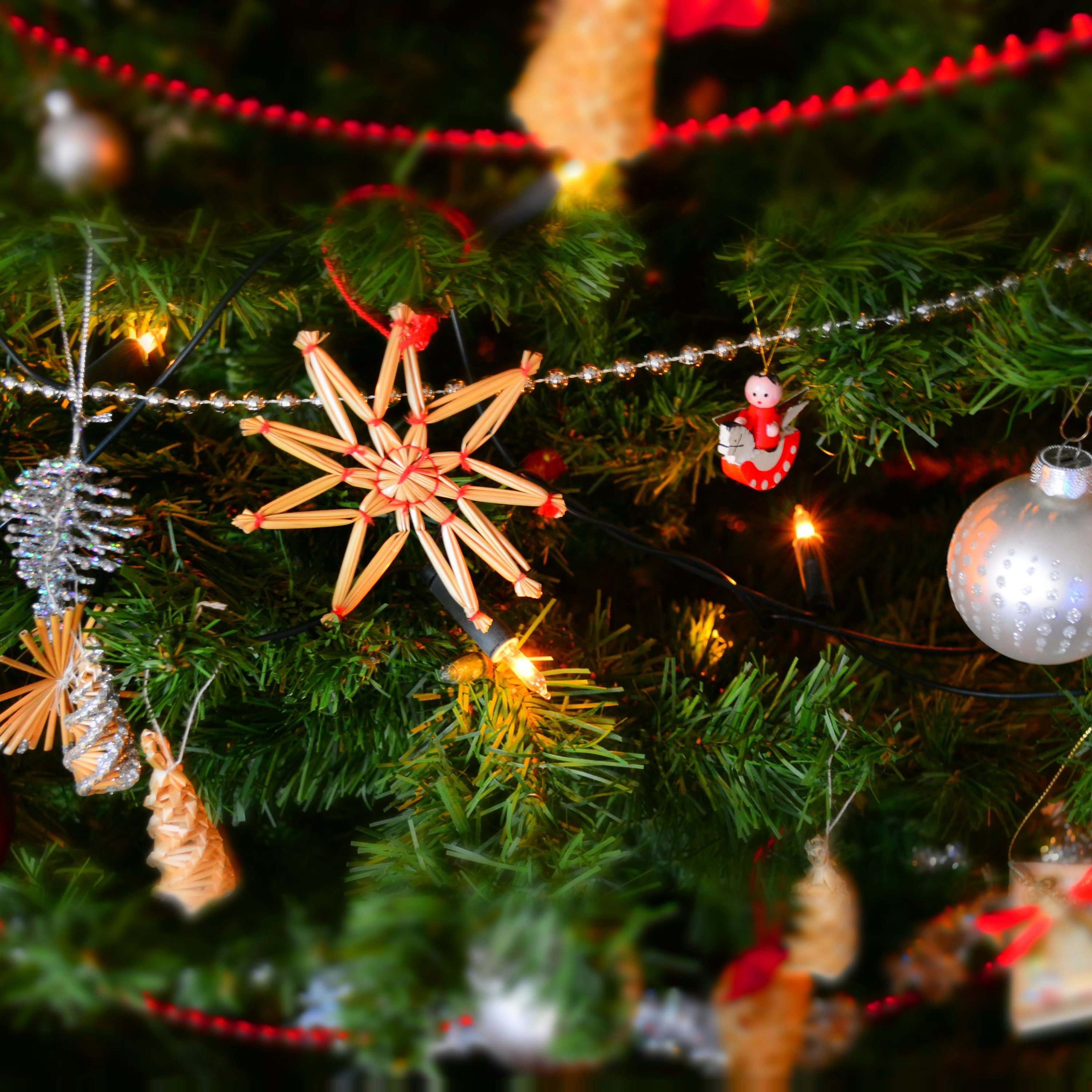 Christmas (Feed Disabled)