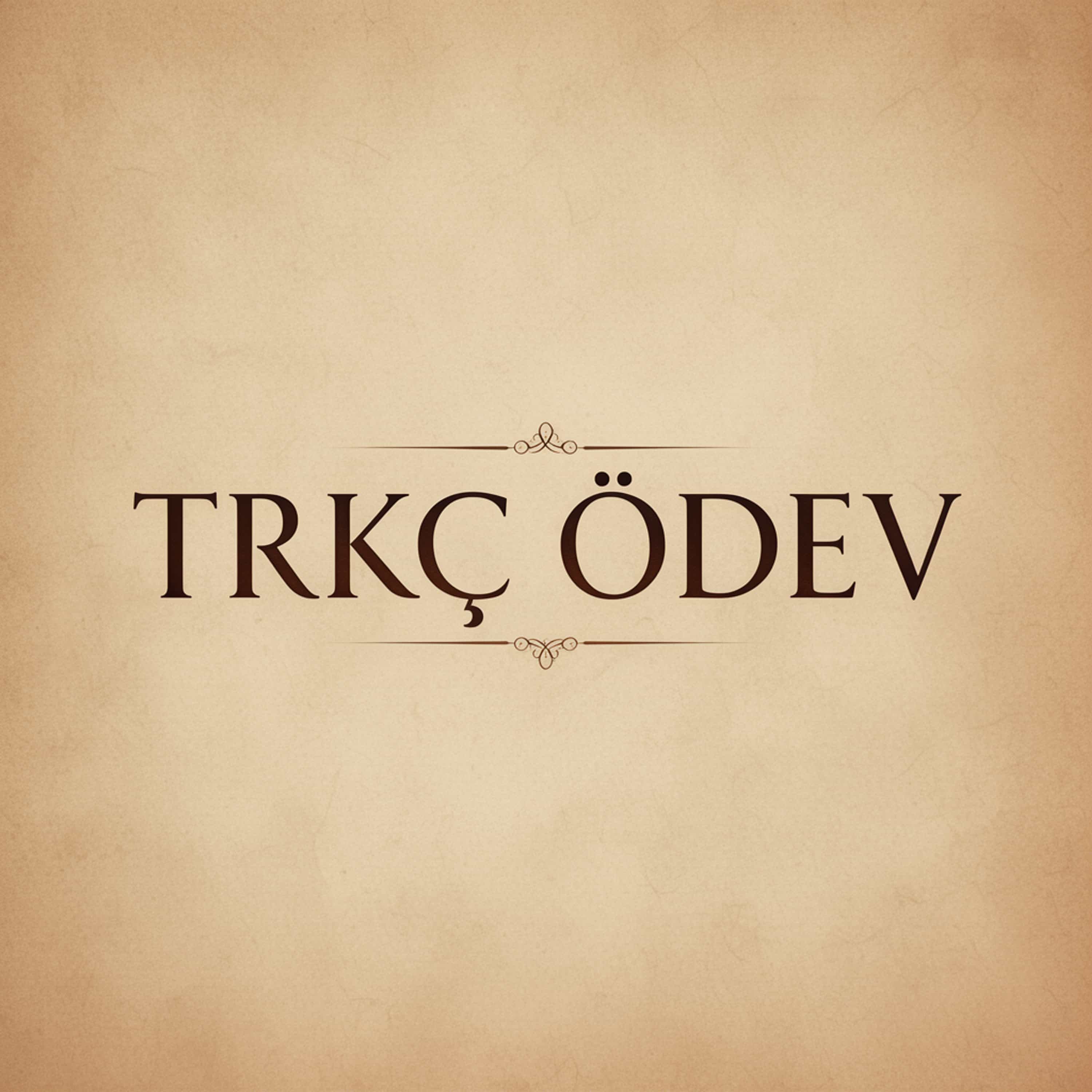 TRKÇ ÖDEV (Feed Disabled)