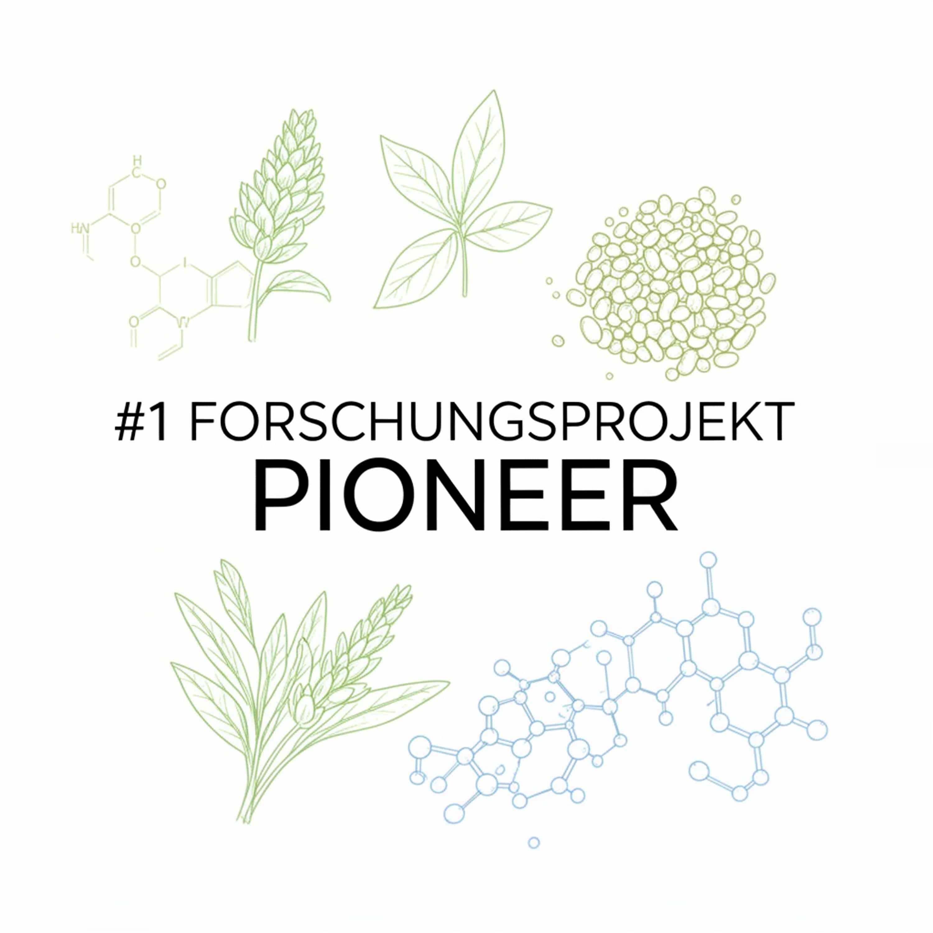 #1 Forschungsprojekt PIONEER (Feed Disabled)