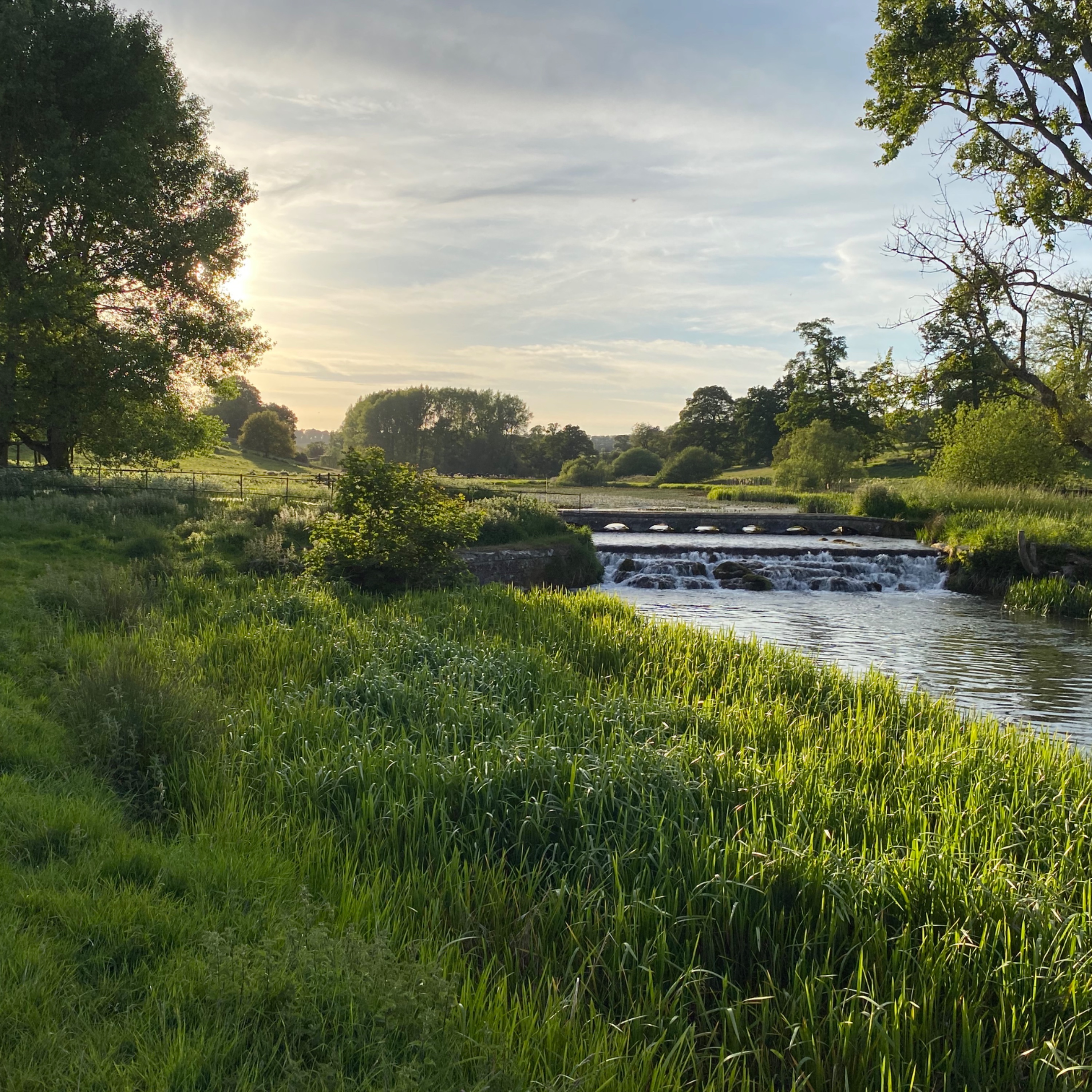 The Sherborne Brook Podcast (Feed Disabled)