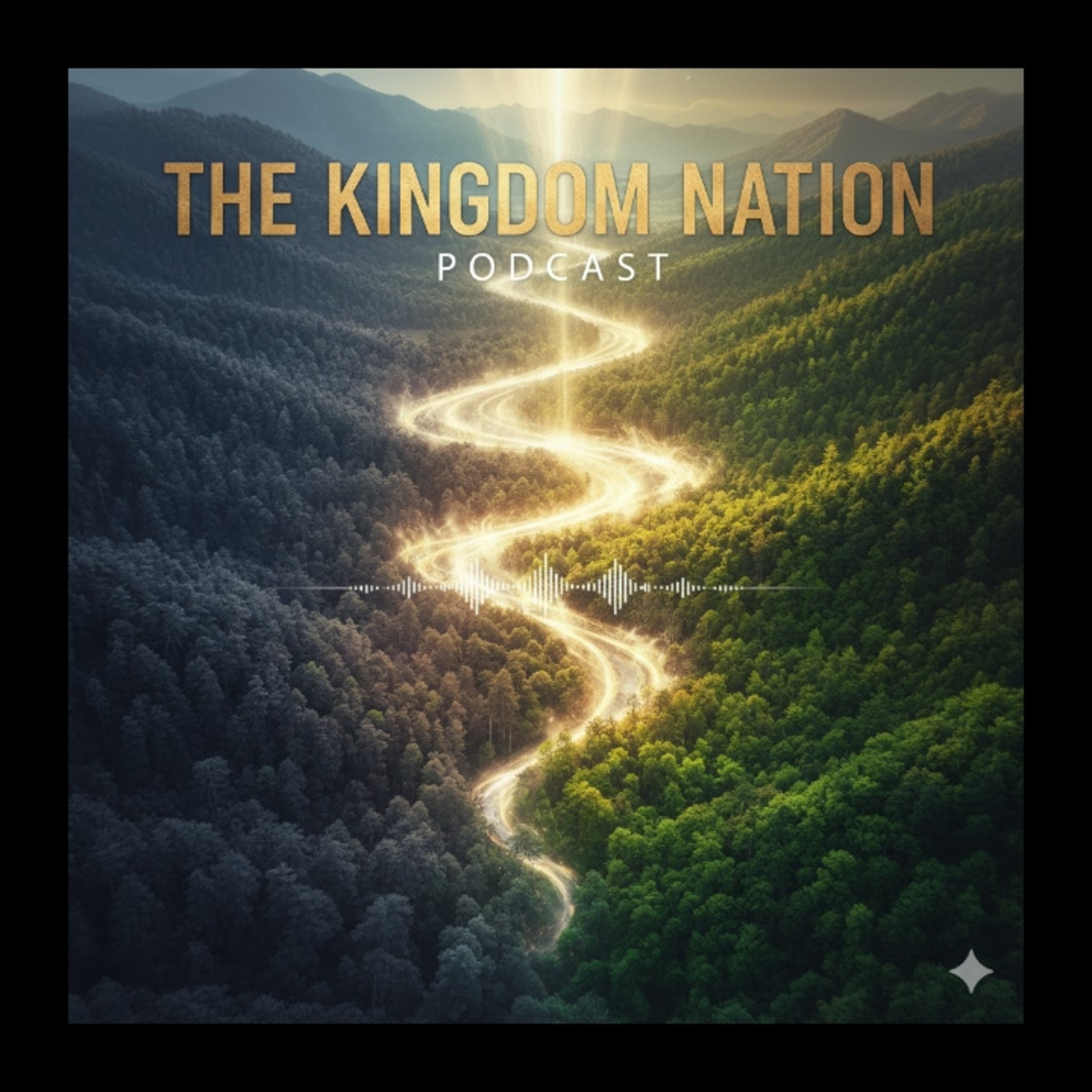 The kingdom Nation  (Feed Disabled) cover art