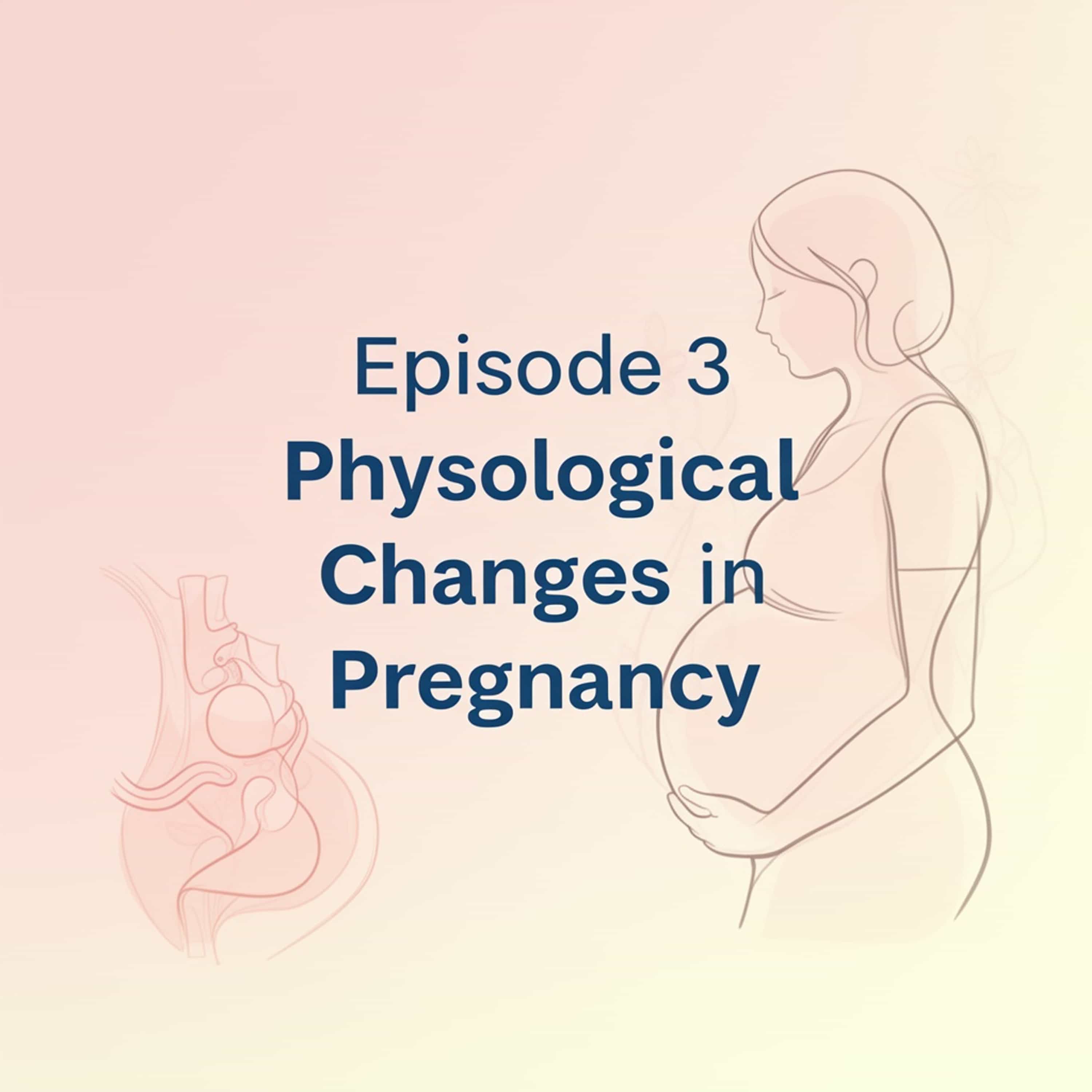 Episode 3 Physiological Changes in Pregnancy (Feed Disabled) cover art