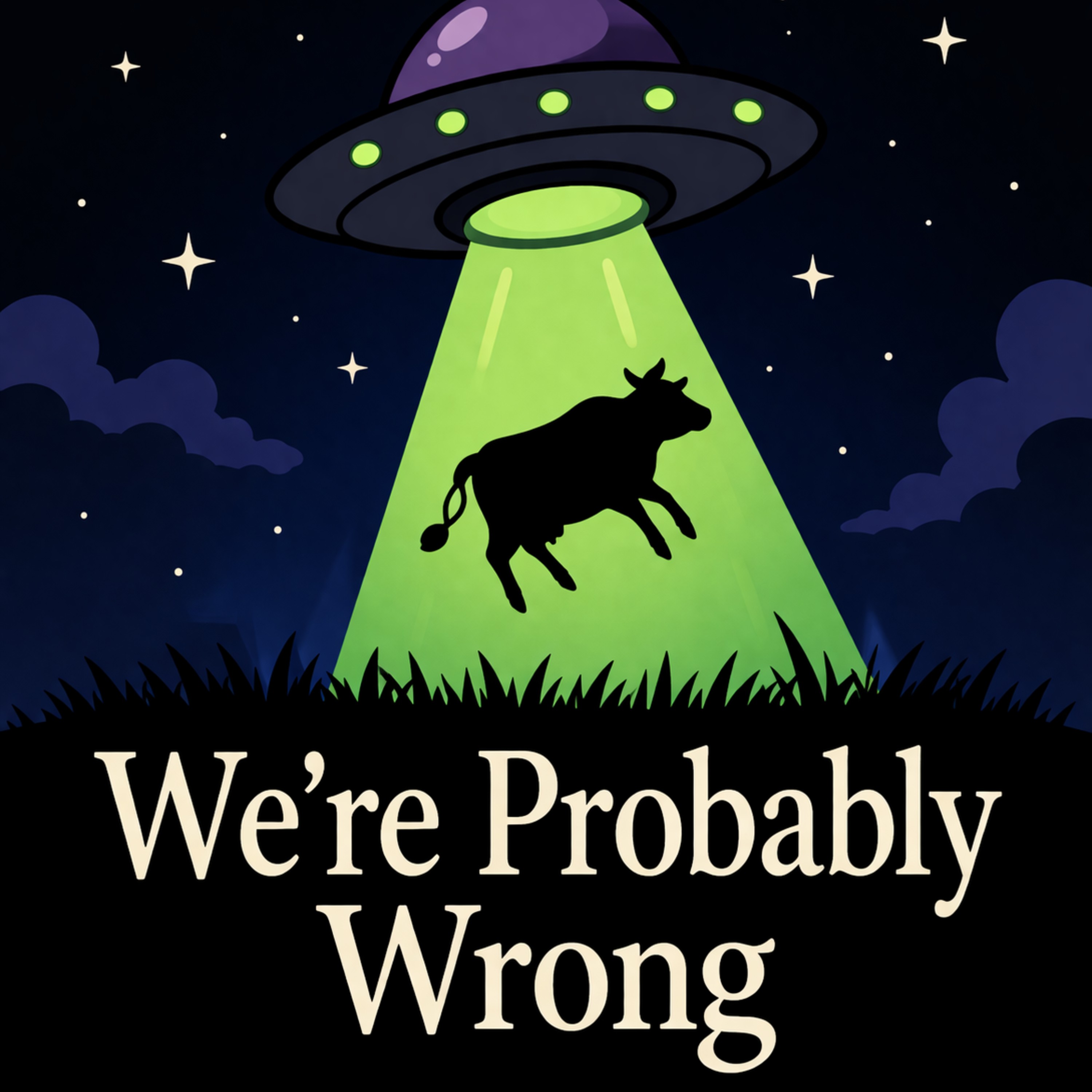 We're Probably Wrong (Feed Disabled) cover