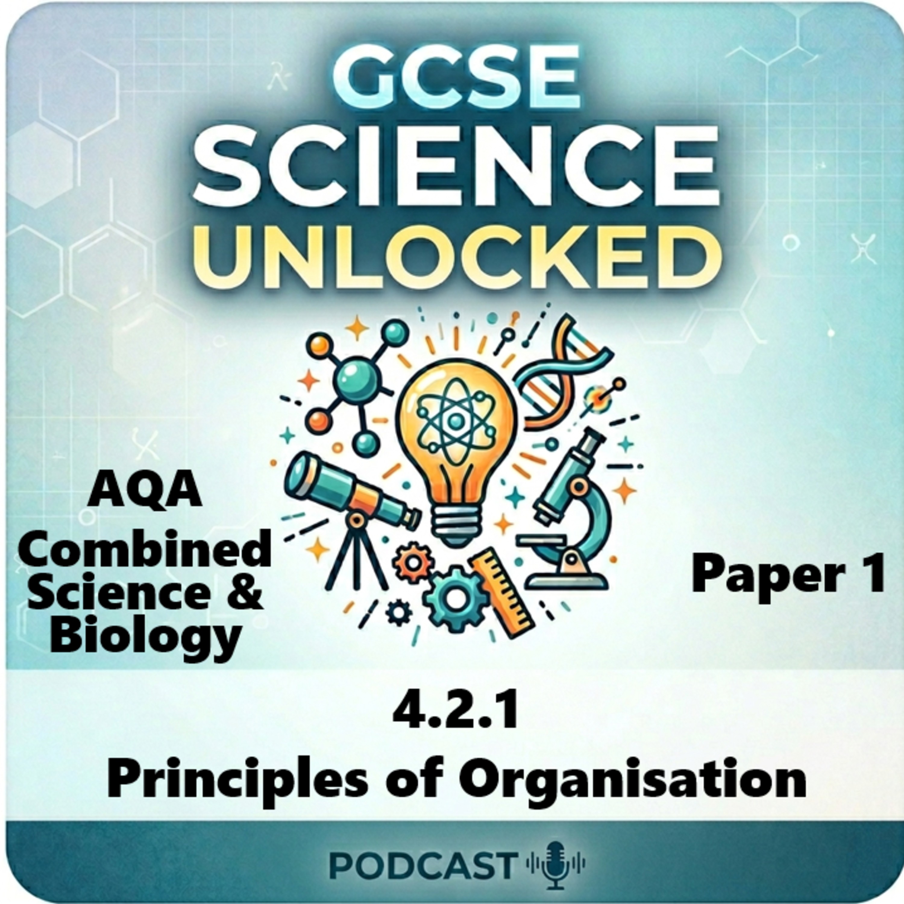 AQA 4.2.1 Principles of Organisation episode artwork