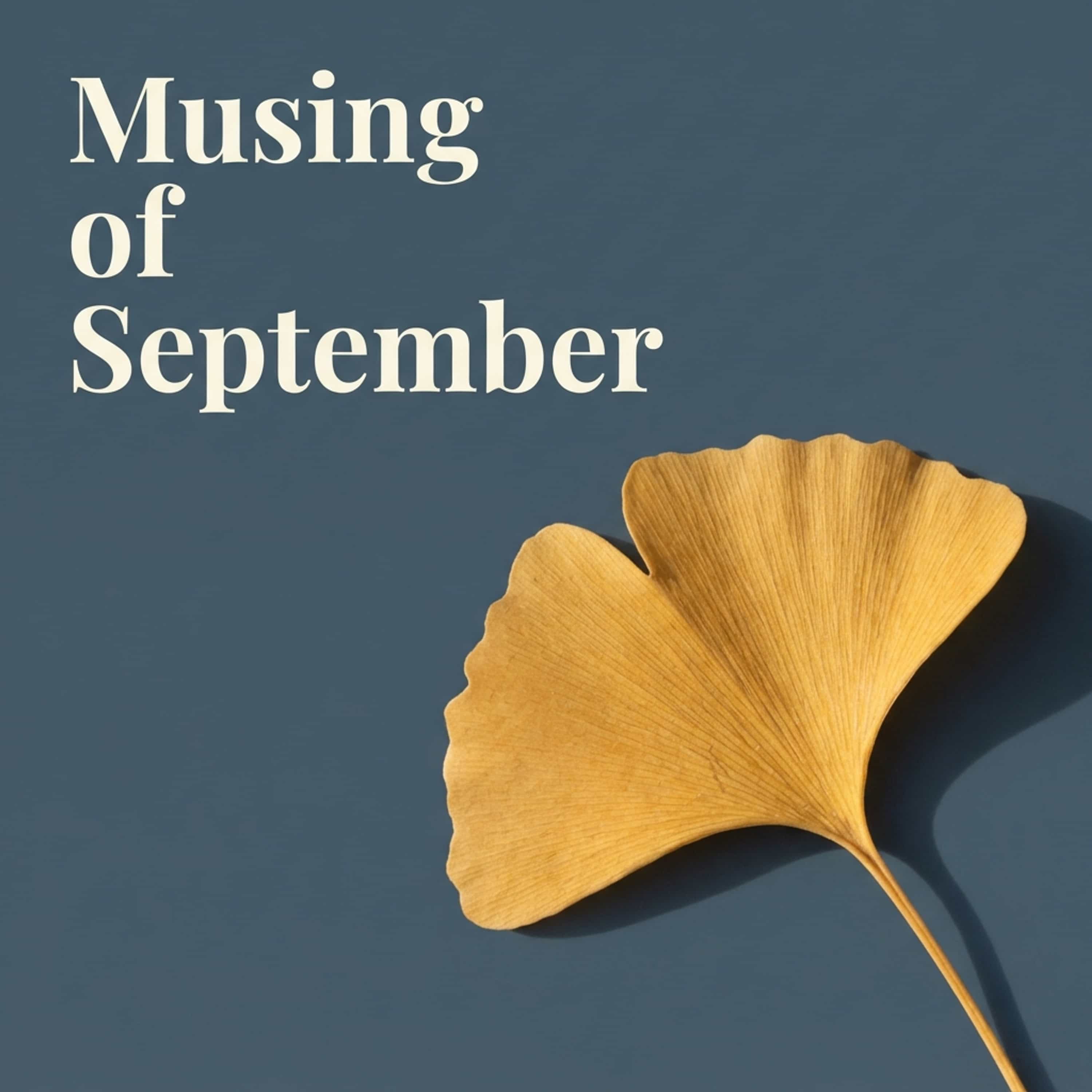 Musing of September (Feed Disabled)