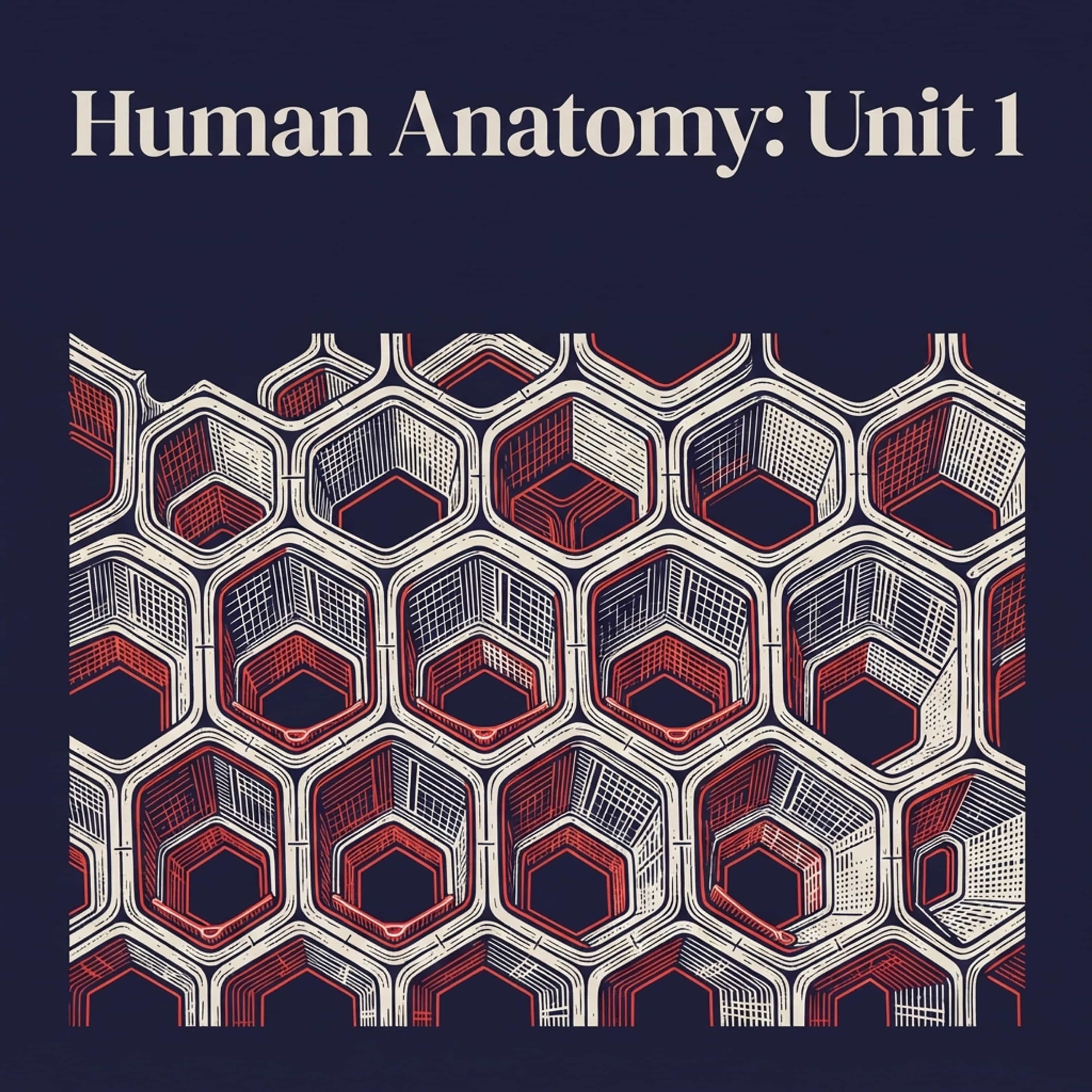Human Anatomy: Unit 1 podcast artwork
